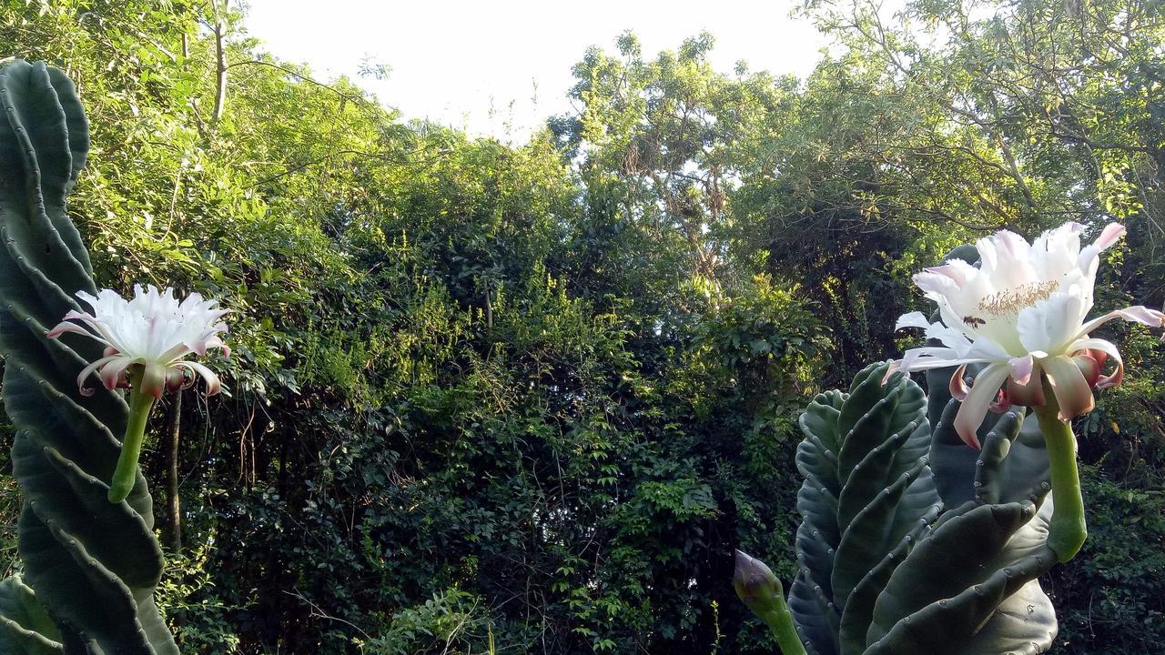 Posada Camboata Aristóbulo del Valle Eksteriør billede